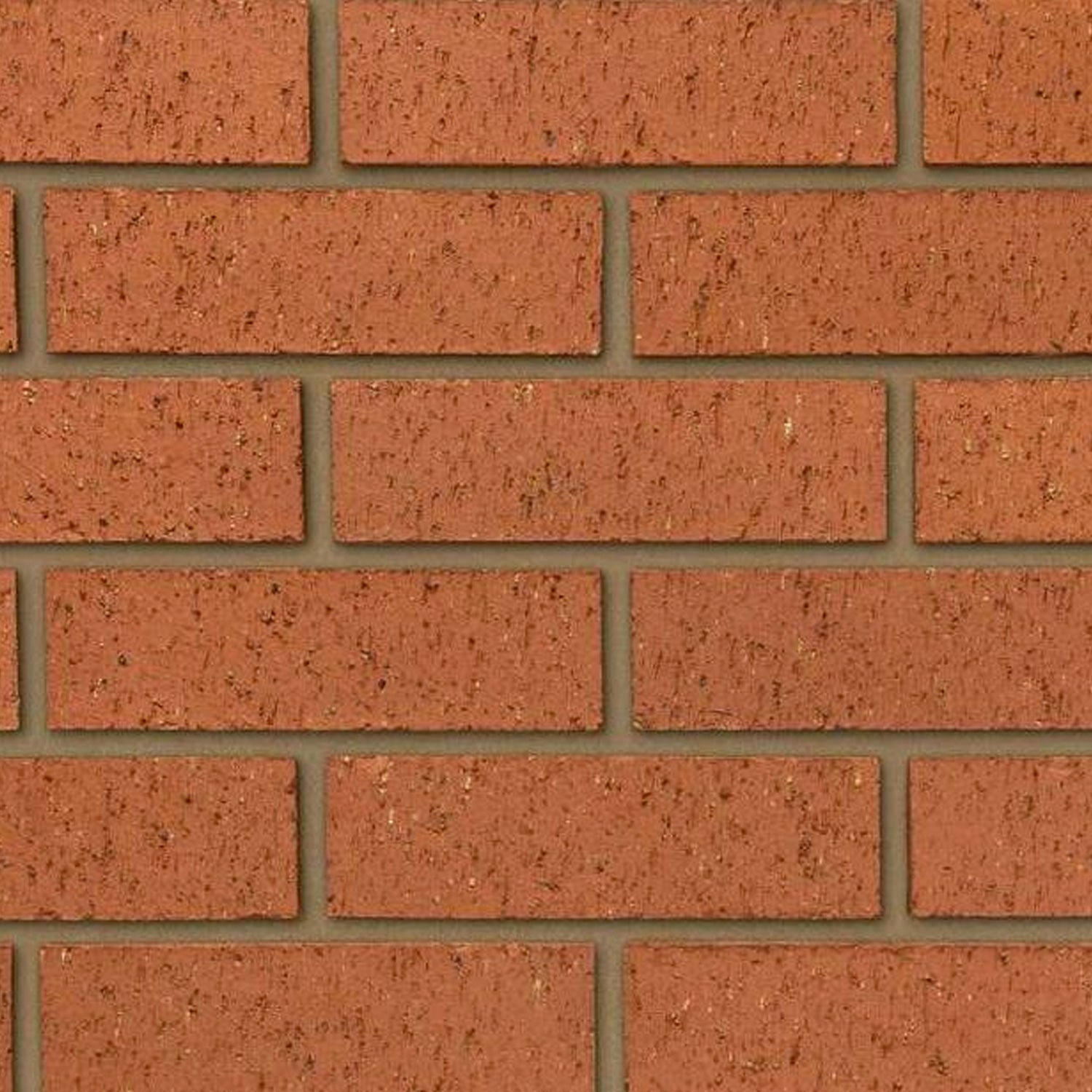 Dragface Rutland 65mm 500pk