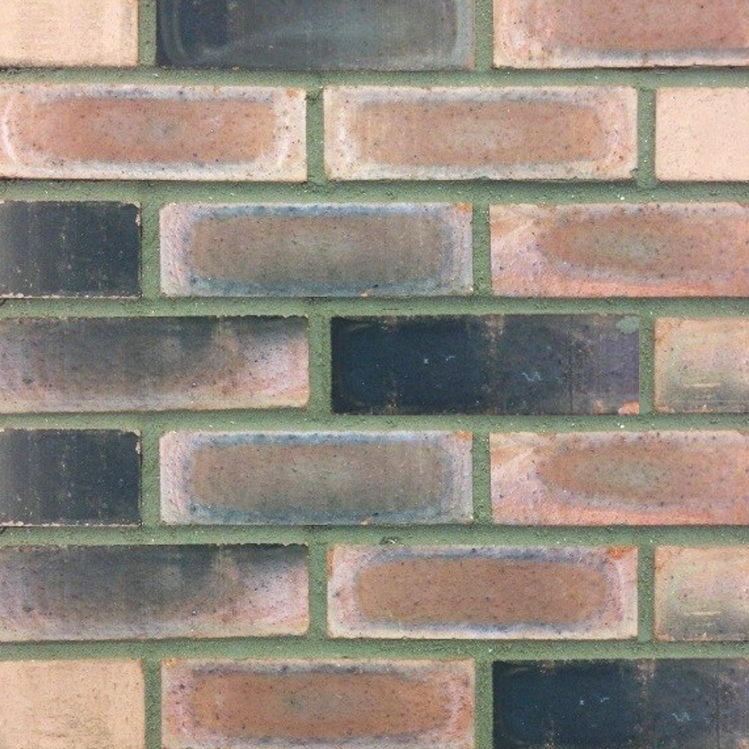 Scotch Common 73mm (416Pk)