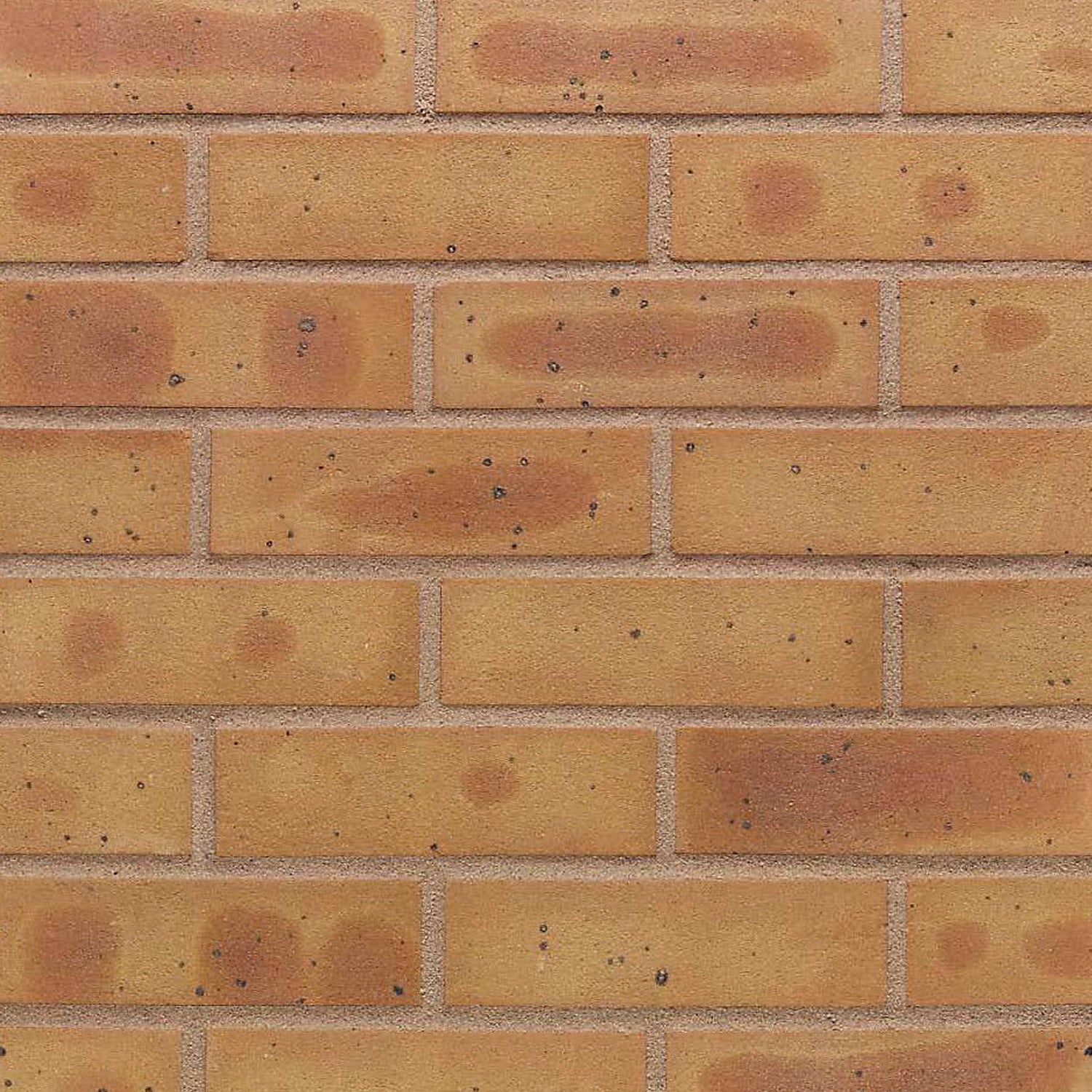 Willowed Buff 65mm 500pk