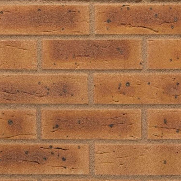 Harvest Buff 65mm (500Pack)