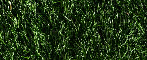 Desktop Banner